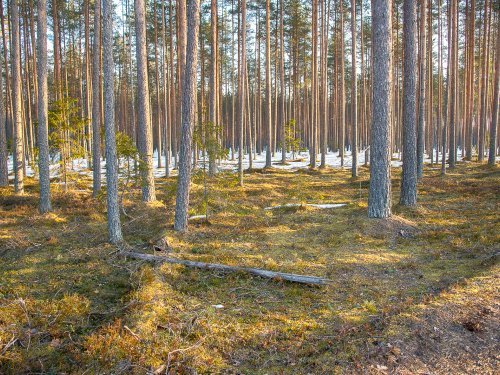 В току.