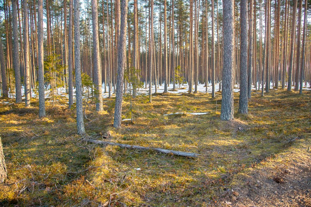 В току.