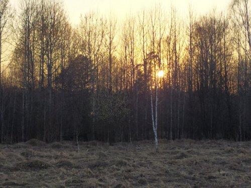 Весенний закат