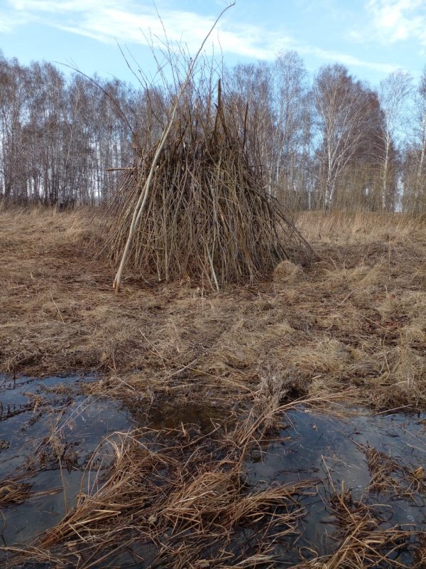 К открытию готов.