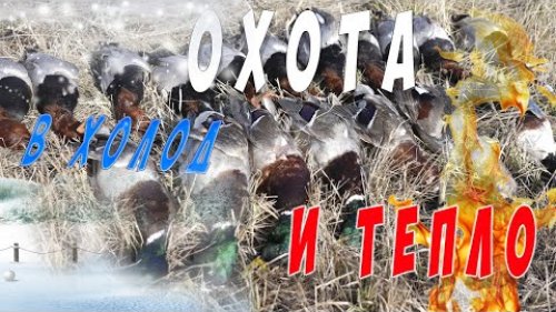 ЖАРКАЯ охота после холодов. Весна 2022. HOT hunting after cold weather. Spring 2022 4К