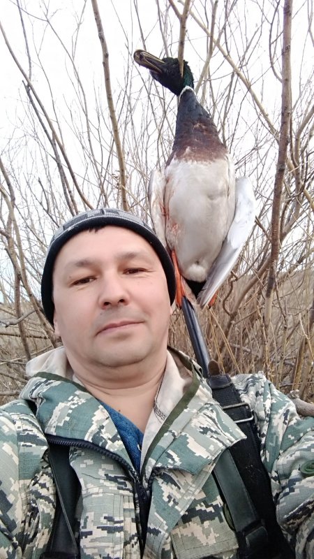Вторая утрянка