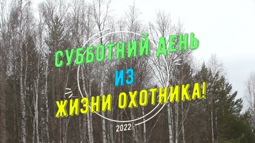 Субботний день из жизни охотника!
