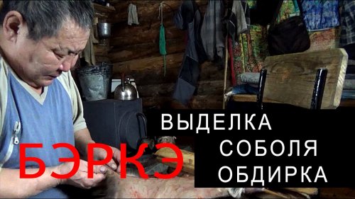 Как правильно обдирать шкурку соболя