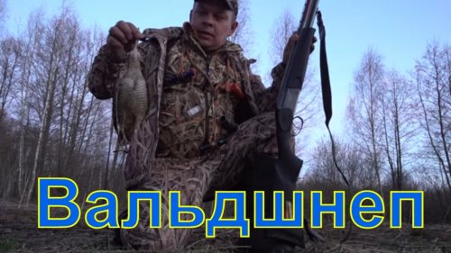 Генерал Охота на вальдшнепа woodcock hunting #9