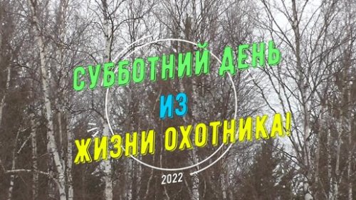 Александр Кошеваров | Субботний день из жизни охотника!