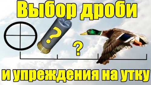 Дробь на утку весной. Упреждение/Вынос при охоте на утку/селезня