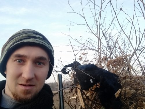 Снова удача на току)))