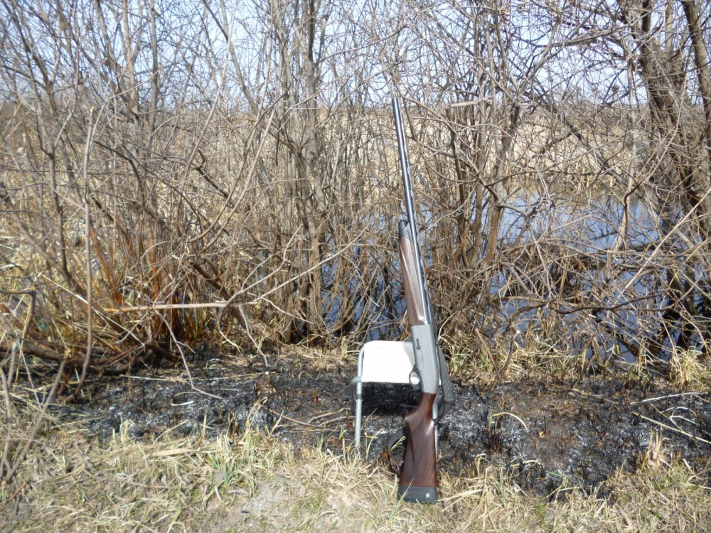 Обнова