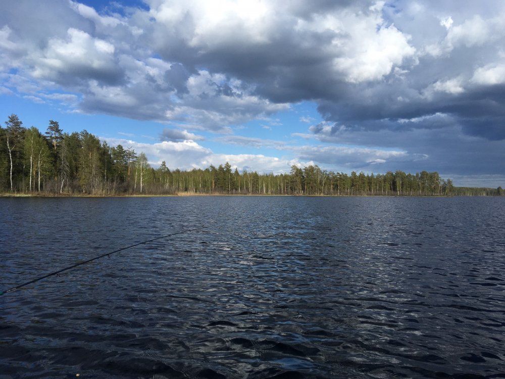 теперь рыбалка:)