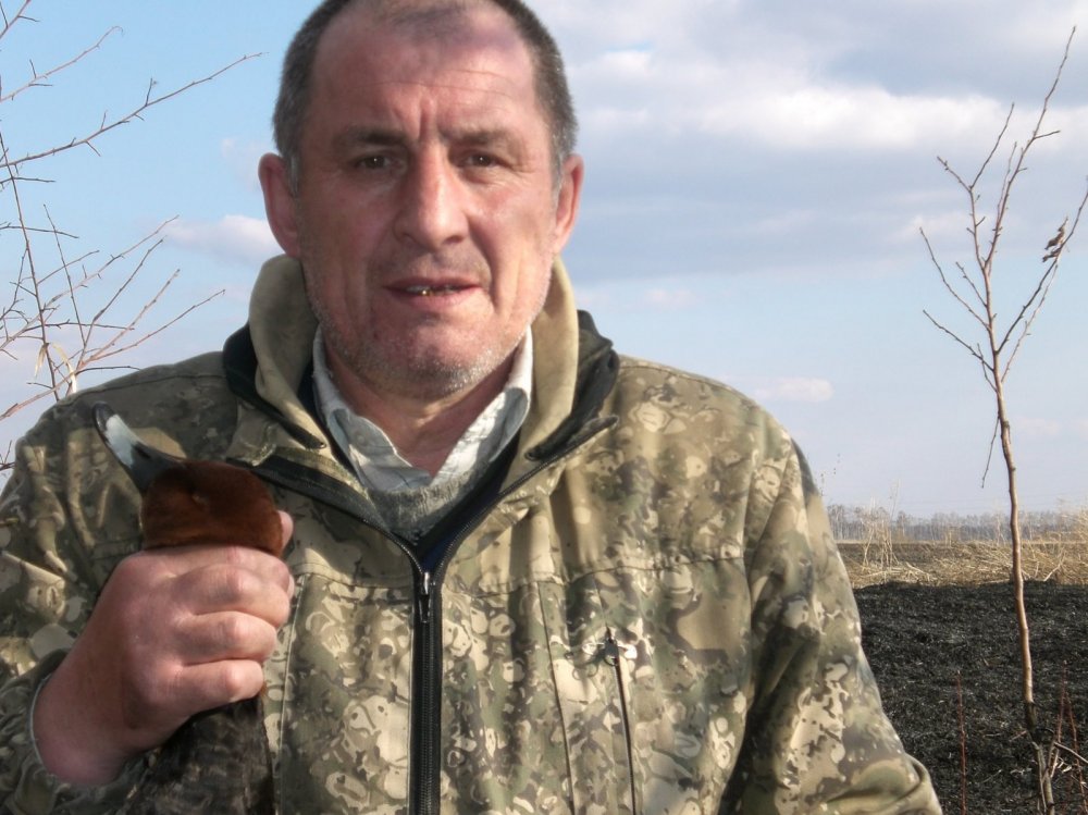 красноголовик