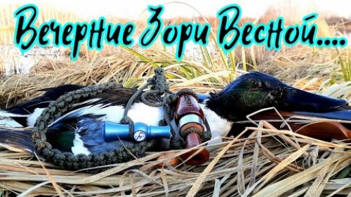 /Охота на вечерних зорях Весной/Красота природы/Трофеи добыты/