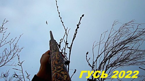 ГУСИ В ТУМАНЕ ЛЕТЯТ СО ВСЕХ СТОРОН!!! Закрытие охоты на гуся 2022 / MAX HUNTER