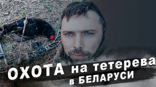 Охота на тетерева. Охота с блочным луком.
