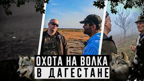 Охота на волка в Дагестане. Нашли загадочное захоронение  древних людей. Выстрел по волку на 150 м.