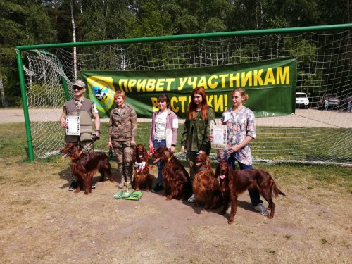 48 выставка охотничьих собак НООИР