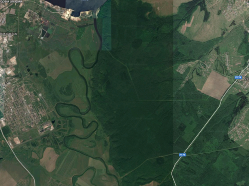 Первые лоси