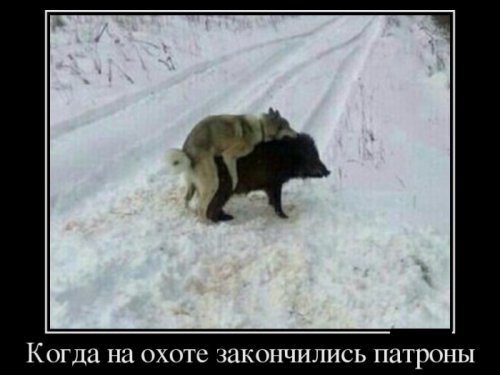 Байки из охотничьей жизни