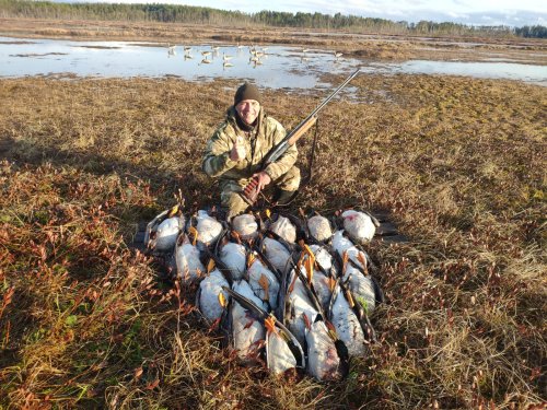 Гусиный марафон принят