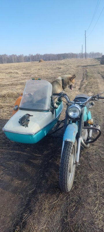 Закрылись
