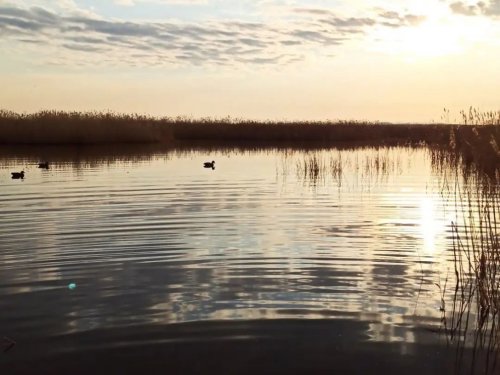 За несколько минут до... 27.04.22