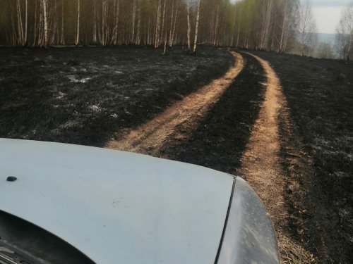 После пала