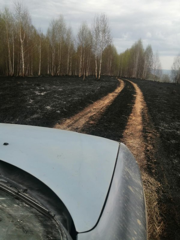 После пала