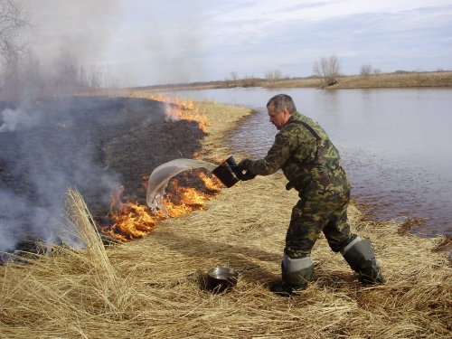 Не всё коту - масленица!!!