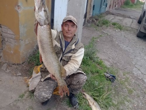 Сегодня на котлетки)))