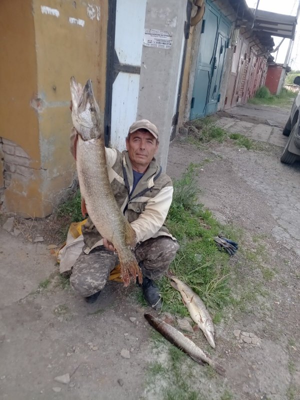 Сегодня на котлетки)))