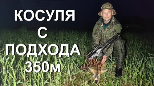 Охота НА КОСУЛЮ с подхода, 350 метров не предел...