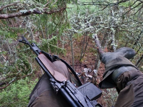 В ожидании подхода...