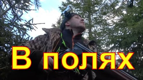 Охота на гуся в полях Вологодчины