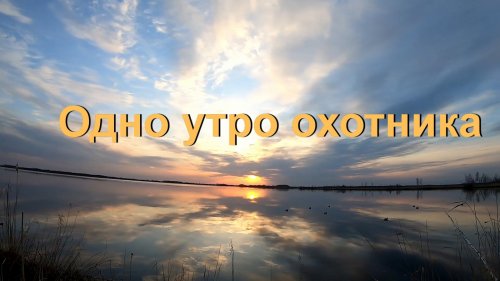 Утро охотника