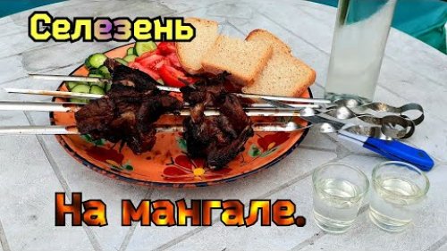 /Селезень дикой утки на Мангале/Рецепт маринада/