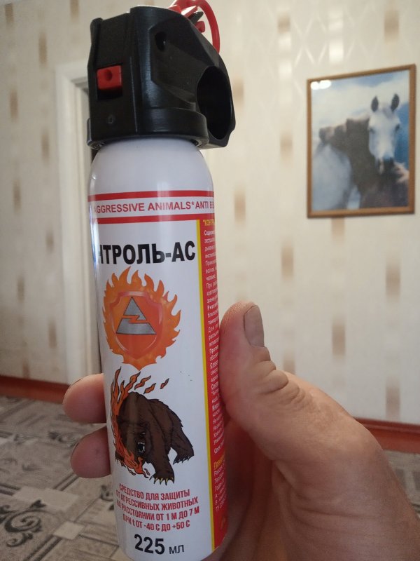 ,,Антимедведь"