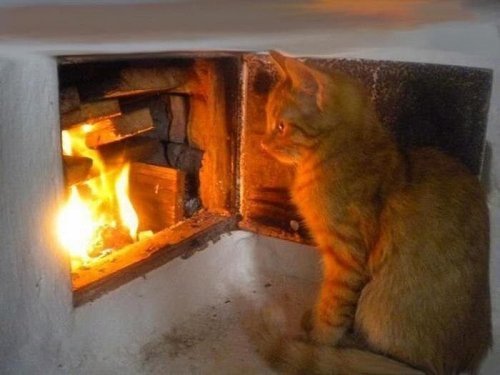 Почём дровишки.....?!?
