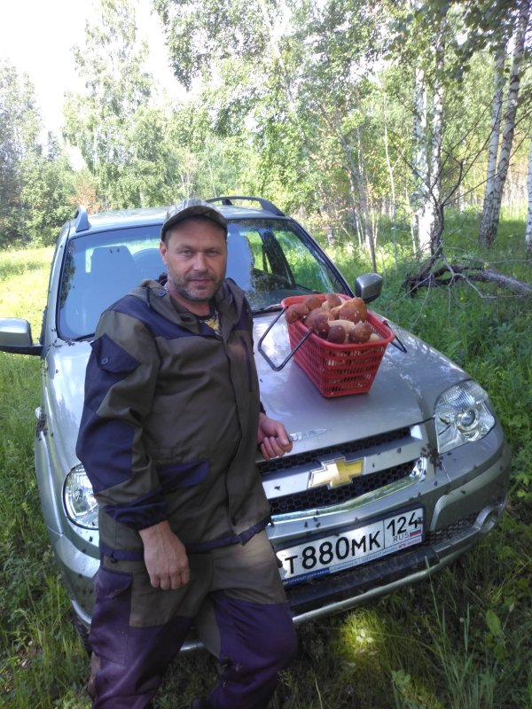 Первые белые.