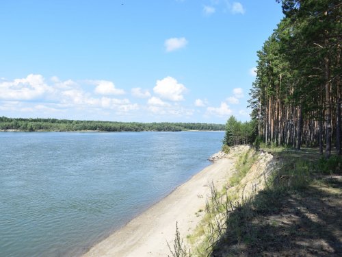 Красота р.Обь))