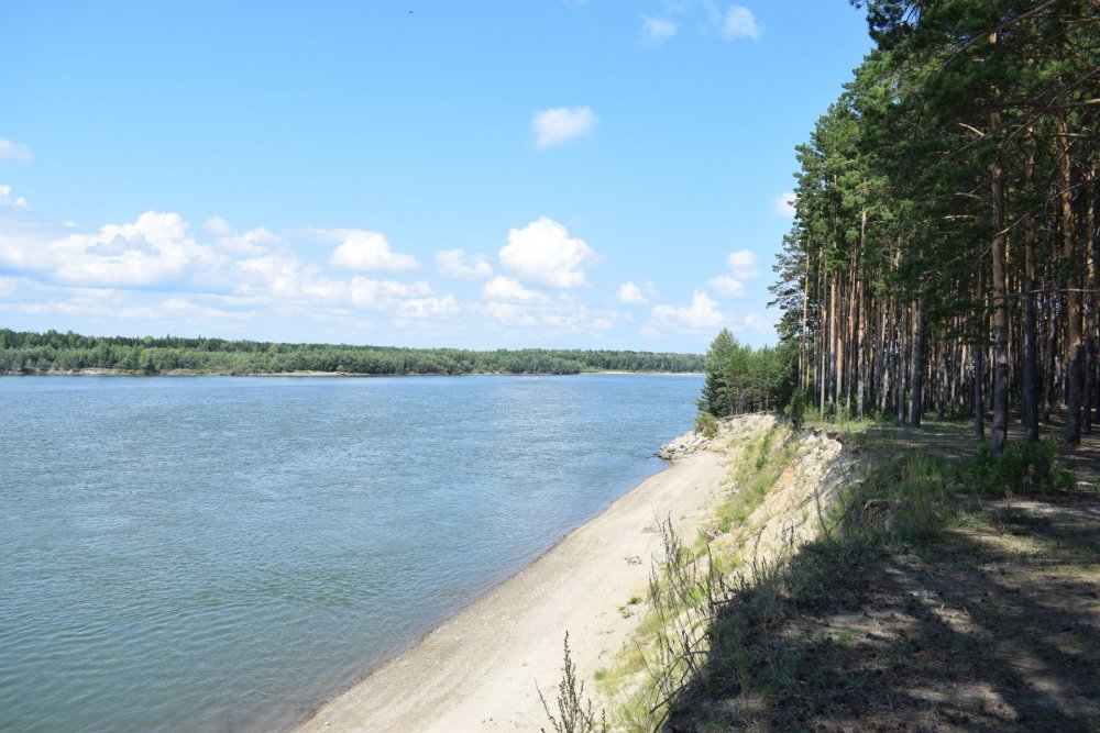 Красота р.Обь))