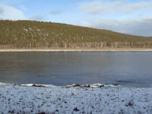 В краю непуганых топтыгиных.
