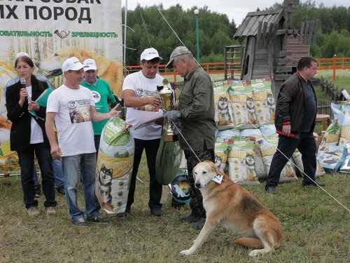 К "Чемпиону России" - путь тернистый....