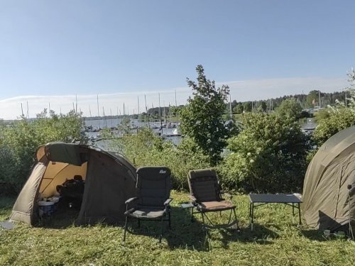 Серые гуси Альтмюльзее, или 20 лет спустя.