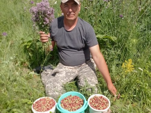 Сегодня поспелее)))