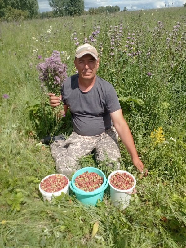 Сегодня поспелее)))