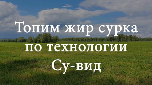Топим жир сурка по технологии Су-вид