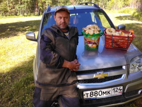 Грузди пошли.