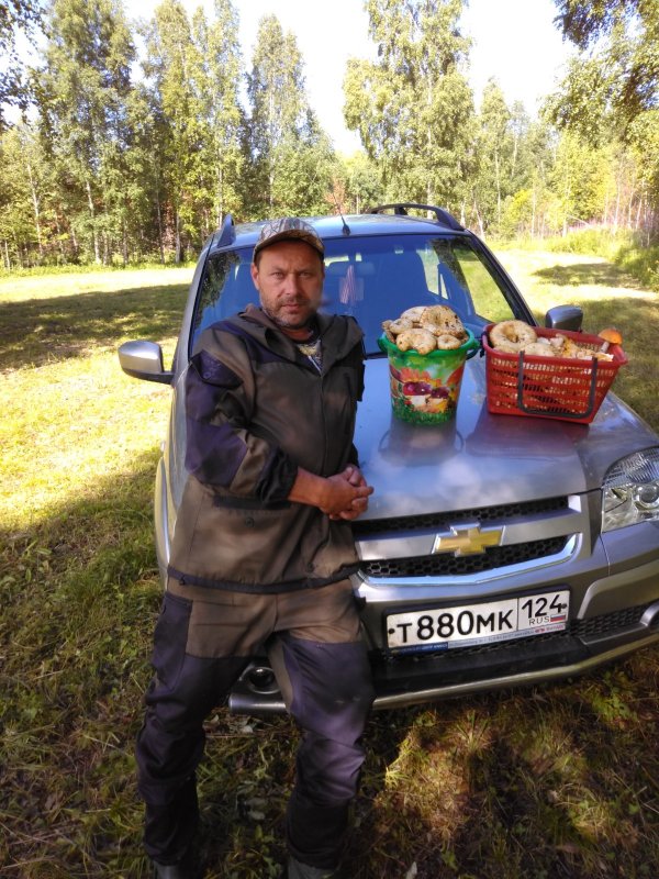 Грузди пошли.