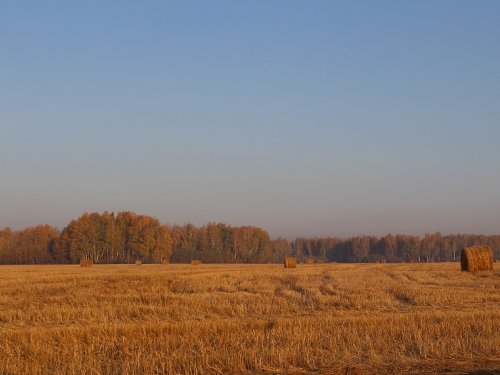 Жизни свой путь не ищу..