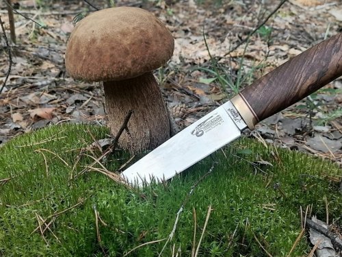 Боровик-царь горы!